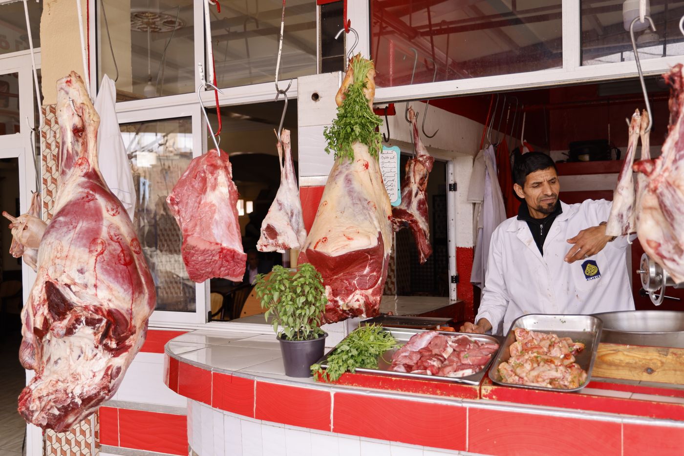 Carne fresca en origen